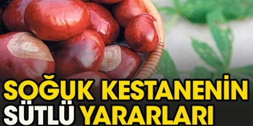 kestane-nasil-yenmeli-iiUVJdSF.jpg