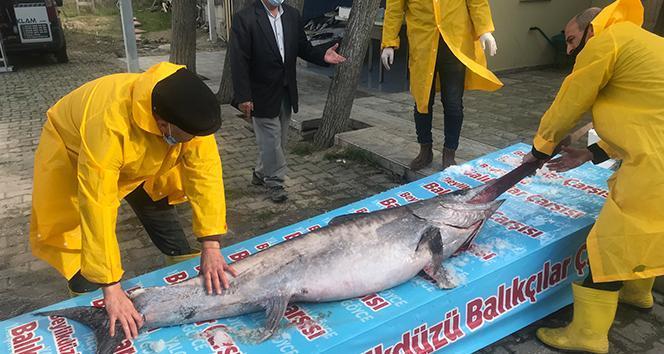 Kılıç Balığı: Özellikleri, Faydaları ve Tarifleri