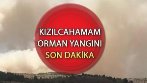 kizilcahamamda-orman-yangini-durum-gelismeleri-vimDkLq3.jpg