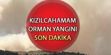 kizilcahamamda-orman-yangini-durum-gelismeleri-vimDkLq3.jpg