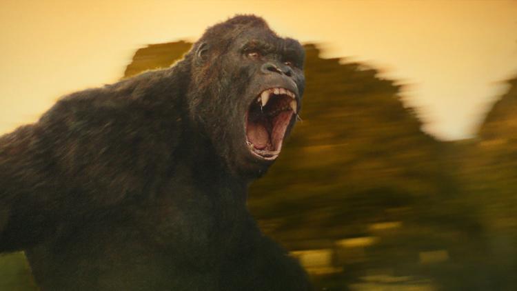 Kong: Kafatası Adası - Film Detayları