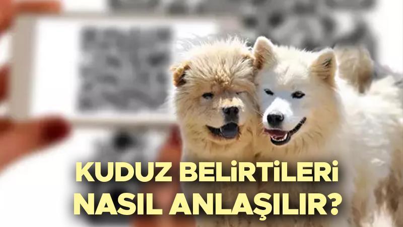 Kuduz Hastalığı: Belirtileri, Bulaşma Yolları ve Tedavi Yöntemleri