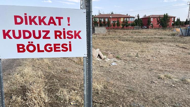 Kuduz Hastalığı: Belirtiler, Bulaşma Yolları ve Tedavi Yöntemleri