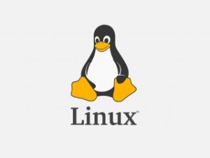 linux-nedir-EMwDBrIa.jpg