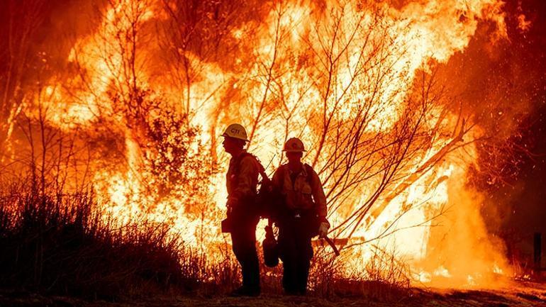 Los Angeles'teki Orman Yangınında Son Durum ve Etkileri