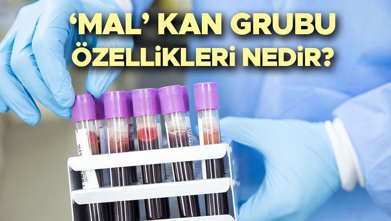 MAL Kan Grubu Nedir?