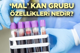 mal-kan-grubu-ozellikleri-ve-kesfi-cDyjV9kx.jpg