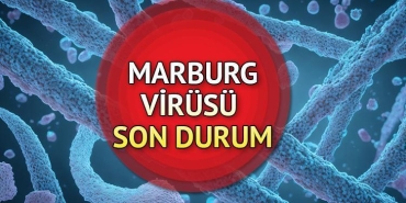 marburg-virusu-turkiyede-var-mi-mdNAqqCM.jpg