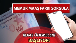 memur-maas-farki-sorgulama-2024-son-dakika-memur-ve-memur-emeklisi-maas-farklari-yatti-zFzkAPhK.jpg