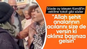 meral-danis-bestasa-tepki-ben-nasil-diyecegim-pkklilara-gittim-verdim-oy-g9PBKrdv.jpg