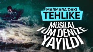 musilaj-7-hafta-icinde-butun-marmara-denizine-yayildi-ge2CxFud.jpg