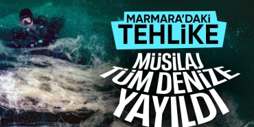 musilaj-7-hafta-icinde-butun-marmara-denizine-yayildi-ge2CxFud.jpg