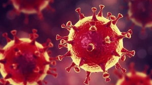 mutasyon-nedir-koronavirus-mutasyon-mu-gecirdi-virusun-mutasyona-ugramasi-ne-demek-F4VJv1Vq.jpg