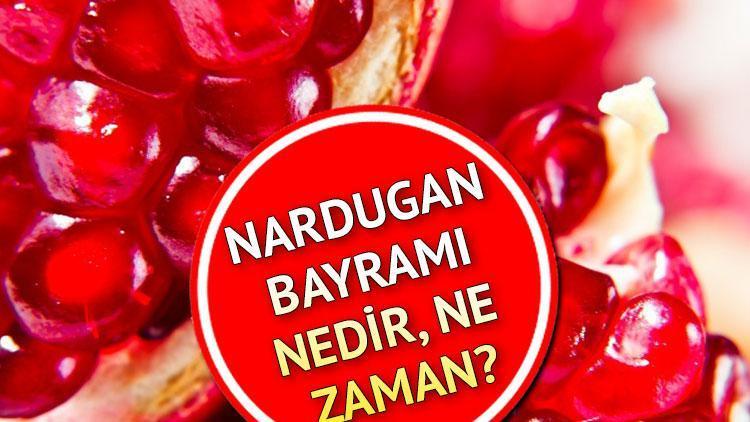 Nardugan Ne Demek?