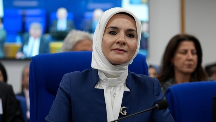 Nüfus Politikaları Yüksek Kurulu Nedir ve Görevleri Neler?