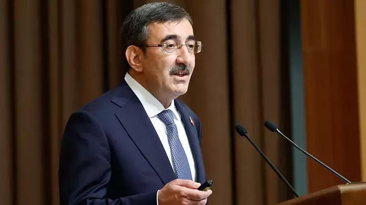 Nüfus Politikaları Yüksek Kurulu Toplantısı ve Türkiye'nin Nüfus Stratejileri