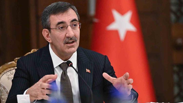 Nüfus Politikaları Yüksek Kurulu Toplantısı ve Türkiye'nin Nüfus Stratejileri