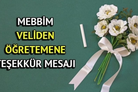 ogretmenler-gunu-2024-hazirliklari-ve-mebim-ile-tesekkur-mesajlari-YmhkXkRD.jpg