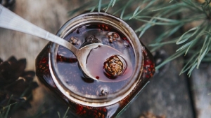 oksurugu-sip-diye-kesen-dogal-mucize-her-gun-1-tatli-kasigi-kozalak-surubu-icmenin-AMCdhR83.jpg