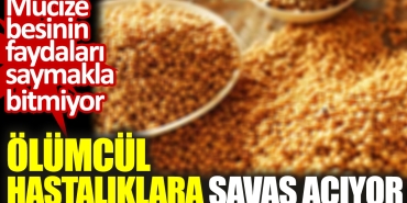 olumcul-hastaliklara-savas-aciyor-mucize-besinin-yararlari-saymakla-bitmiyor-3WNJMxTe.jpg