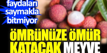 omrunuze-omur-katacak-meyvenin-yararlari-saymakla-bitmiyor-nHPegeDr.jpg