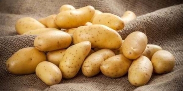 patatesin-sagliga-7-faydasi-zBsVz2em.jpg