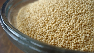 protein-bombasi-amaranth-tohumunun-mucizevi-faydalari-kw64PrDA.jpg