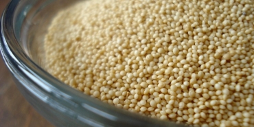protein-bombasi-amaranth-tohumunun-mucizevi-faydalari-kw64PrDA.jpg