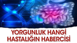 radyasyondan-yiyerek-nasil-kurtulunur-En3XeOsh.jpg