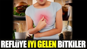 refluye-duzgun-gelen-bitkiler-LNPsDhix.jpg
