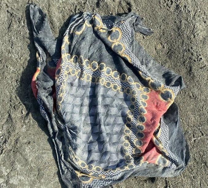 Rojin Kabaiş Olayı: Van'da Kaybolan Üniversite Öğrencisinin Arama Çalışmaları