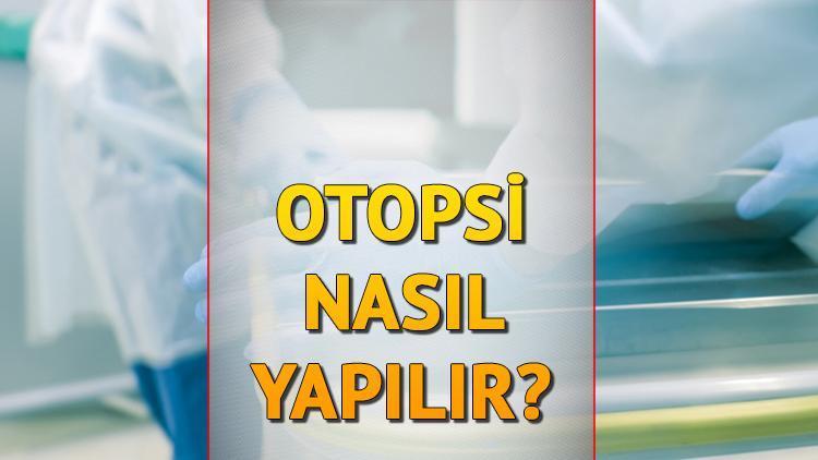 Rojin Kabaiş'in Ölümü ve Otopsi Süreci