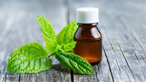 sac-bakimindan-bagirsak-hastaliklarinin-tedavisine-nane-yaginin-10-faydasi-jAkqP8i9.jpg