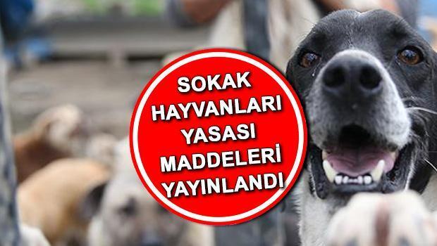 Sokak Hayvanları Yasası Yürürlüğe Girdi mi?