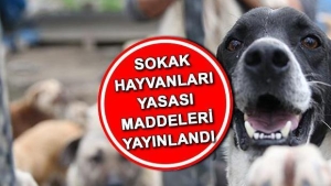 sahipsiz-hayvanlara-yonelik-yeni-duzenlemeler-yururluge-girdi-bF9Qvsrh.jpg