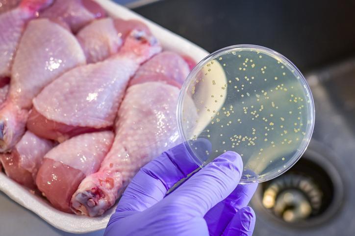 Salmonella Öldürür Mü?