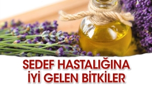 sedef-hastaligina-yeterli-gelen-o-bitkiler-93A3nzdx.jpg