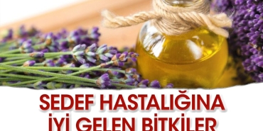 sedef-hastaligina-yeterli-gelen-o-bitkiler-93A3nzdx.jpg