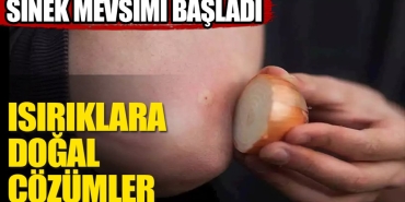 sinek-isiriklarina-yeterli-gelen-bitkiler-ypKX3mPD.jpg