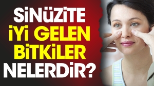 sinuzite-duzgun-gelen-bitkiler-nelerdir-KBsWMF3n.jpg