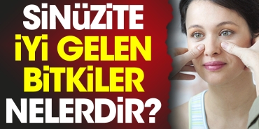 sinuzite-duzgun-gelen-bitkiler-nelerdir-KBsWMF3n.jpg
