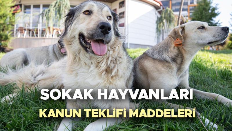 Sokak Köpekleri Uyutulacak Mı? Meclis Görüşmeleri Devam Ediyor