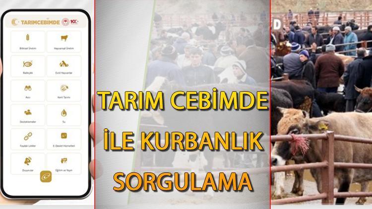 Tarım ve Orman Bakanlığı'nın 'Tarım Cebimde' Uygulaması ile Kurbanlık Sorgulama