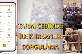 tarim-cebimde-uygulamasi-ile-kurbanlik-sorgulama-ve-tarimsal-destekler-VWtkDBbb.jpg