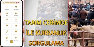 tarim-cebimde-uygulamasi-ile-kurbanlik-sorgulama-ve-tarimsal-destekler-VWtkDBbb.jpg