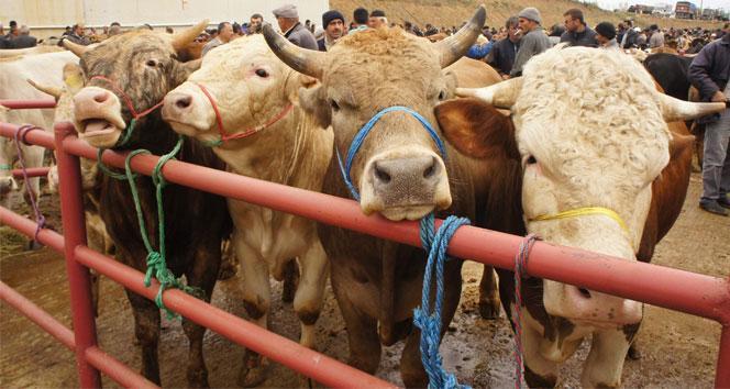 Teşrik Tekbiri Ne Zaman Başlar ve Ne Zaman Biter?