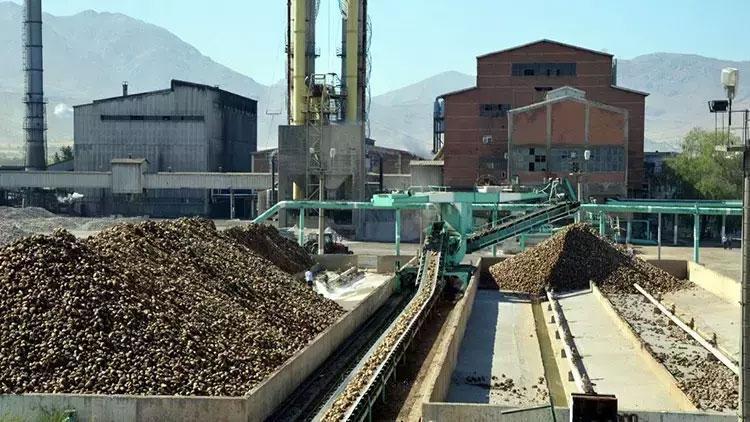 Türkiye Şeker Fabrikaları 1350 İşçi Alımı Duyurdu