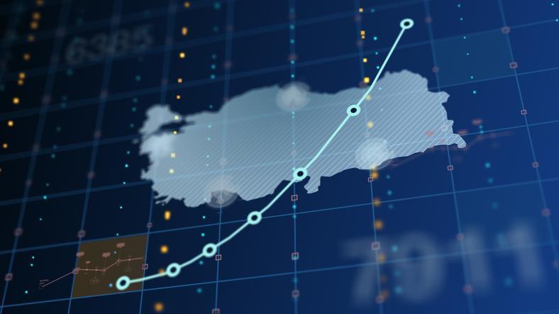 Türkiye'de İşsizlik Oranı ve Stagflasyon Üzerine Analiz