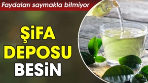 yararlari-saymakla-bitmiyor-sifa-deposu-besin-Y63jhf5x.jpg