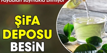 yararlari-saymakla-bitmiyor-sifa-deposu-besin-Y63jhf5x.jpg